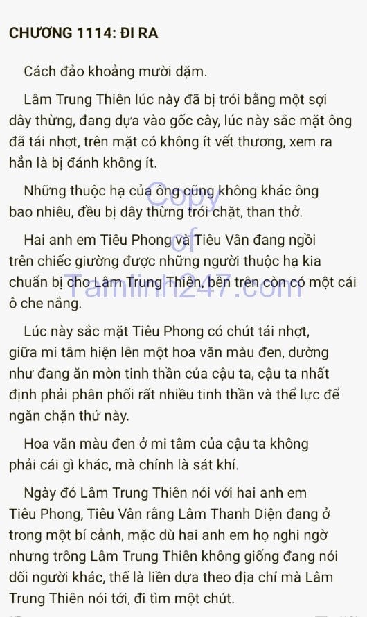 re-quy-troi-cho-1114-0