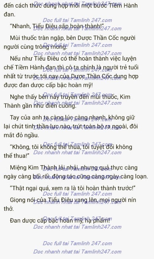 re-quy-troi-cho-1273-6